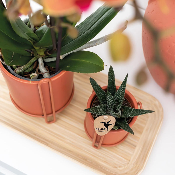 Vassoio Ovale In Bambù