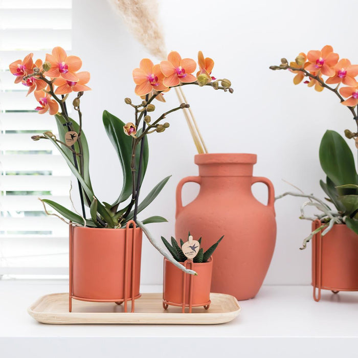 Vassoio Ovale In Bambù