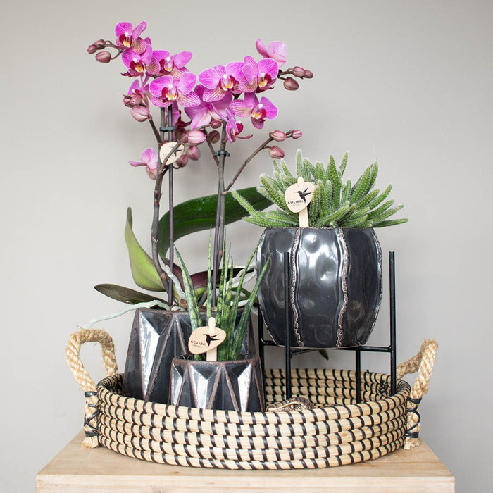 Vassoio Intrecciato Nero - Accessorio Per La Casa