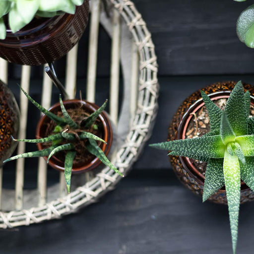 Vassoio Decorativo In Bambù