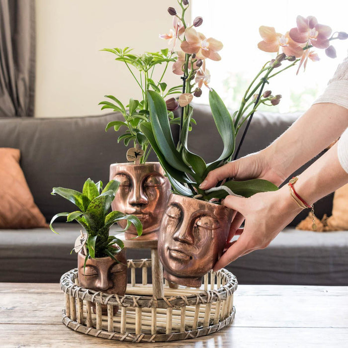 Vassoio Decorativo In Bambù