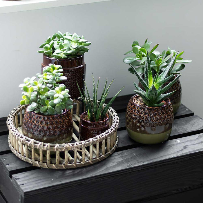 Vassoio Decorativo In Bambù