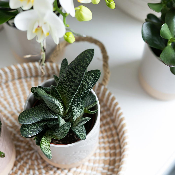 Vassoio In Tessuto Bianco - Accessorio Decorativo