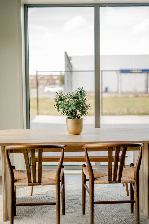 Podocarpus - Pianta Verde Artificiale