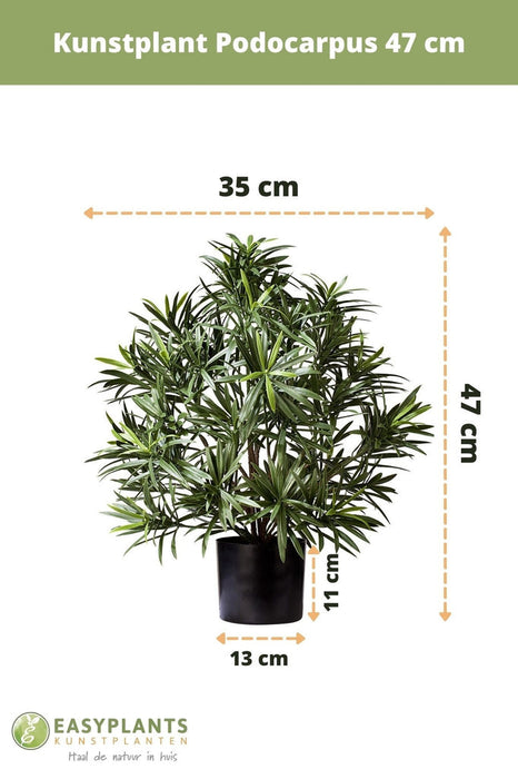 Podocarpus - Pianta Verde Artificiale