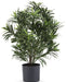 Podocarpus - Pianta Verde Artificiale