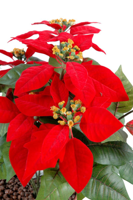 Stella Di Natale Artificiale Rossa Su Paletto 40 Cm