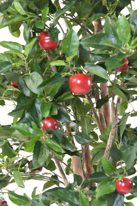 Melo Artificiale 250 Cm Per Interni