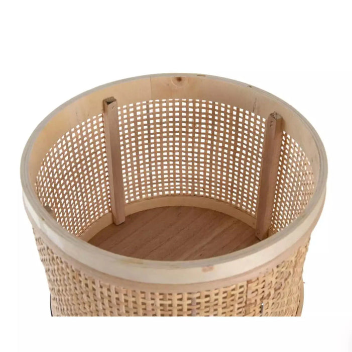 Porta Piante Dell'arizona