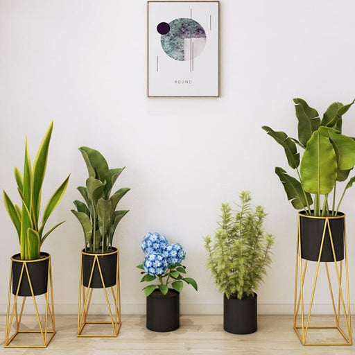 Portapiante Sander Deco