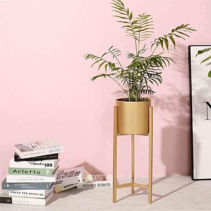 Portapiante In Oro Dorato