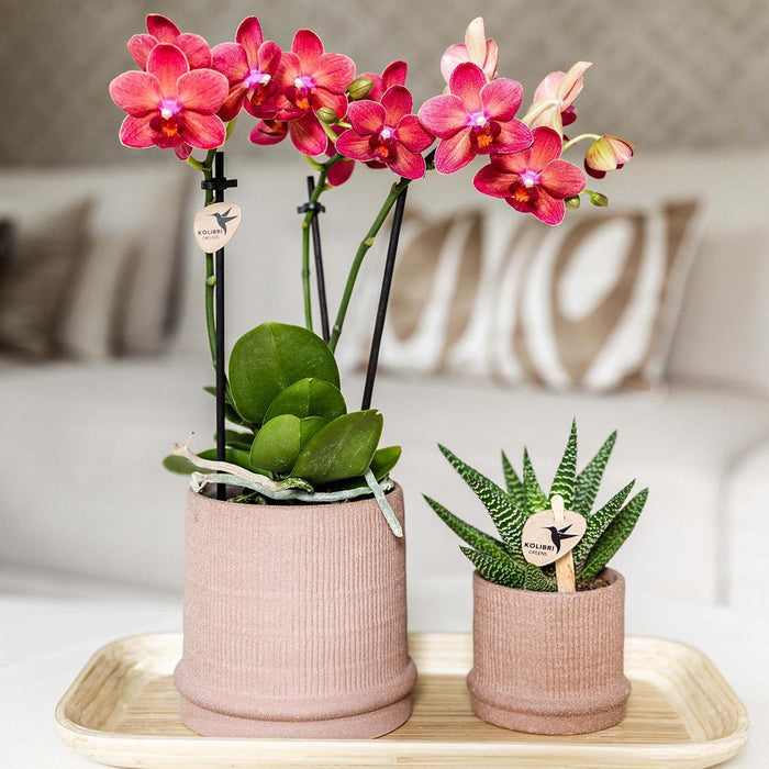 Vaso Bali - Sabbia - Elegante Eclettismo