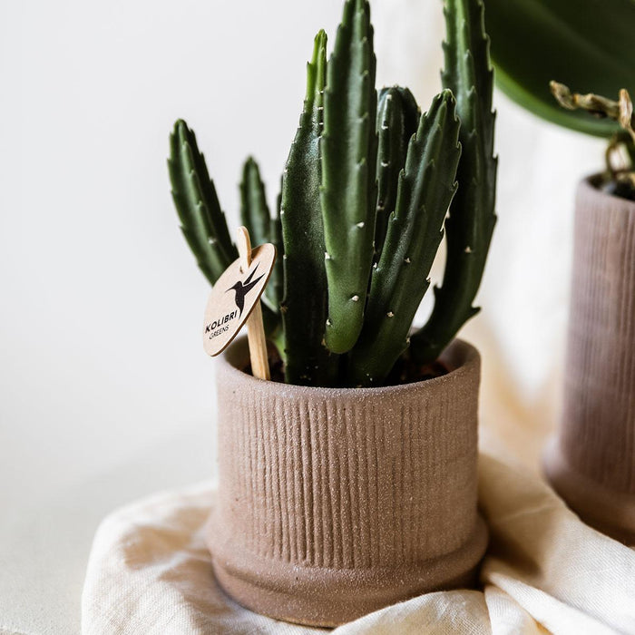 Vaso Bali - Sabbia - Minimalista Ed Elegante