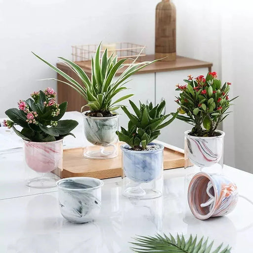 Vaso In Ceramica Curva (X2)