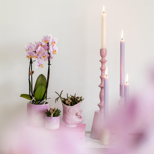 Vaso In Ceramica Con Pesce - Rosa