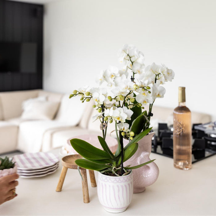 Vaso In Ceramica Con Pesce - Rosa