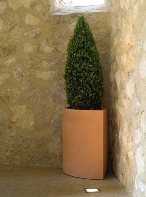 Vaso Ad Angolo Esterno Angolare