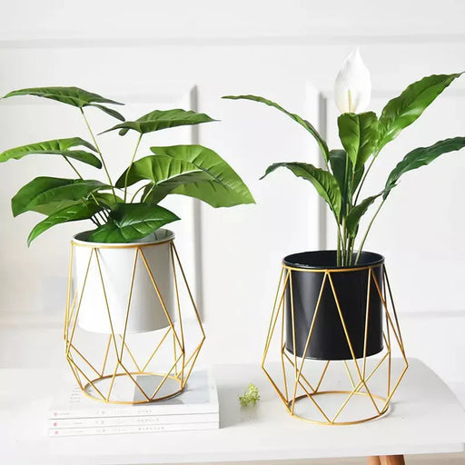 Vaso Da Fiori Per Interni Randi In Piedi