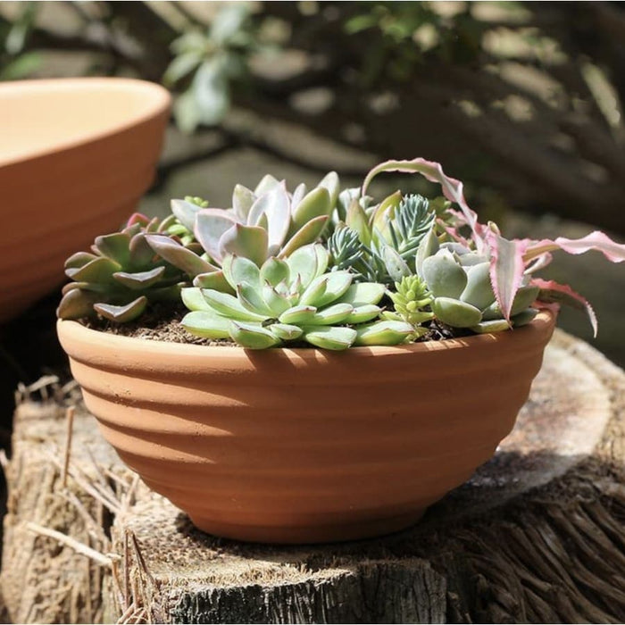 Ciotola Rotonda In Terracotta Per Vaso Da Fiori Da Esterno