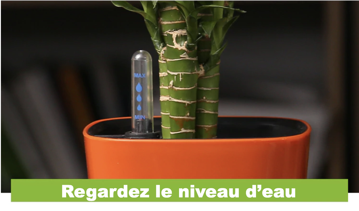 Irrigazione Automatica Per Vaso Da Fiori Arancione Per Esterni