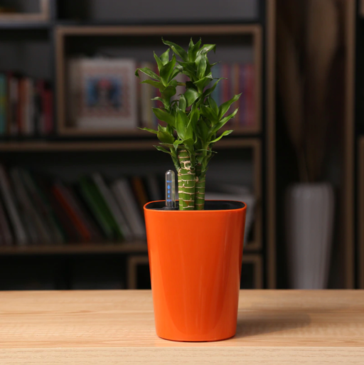 Irrigazione Automatica Per Vaso Da Fiori Arancione Per Esterni