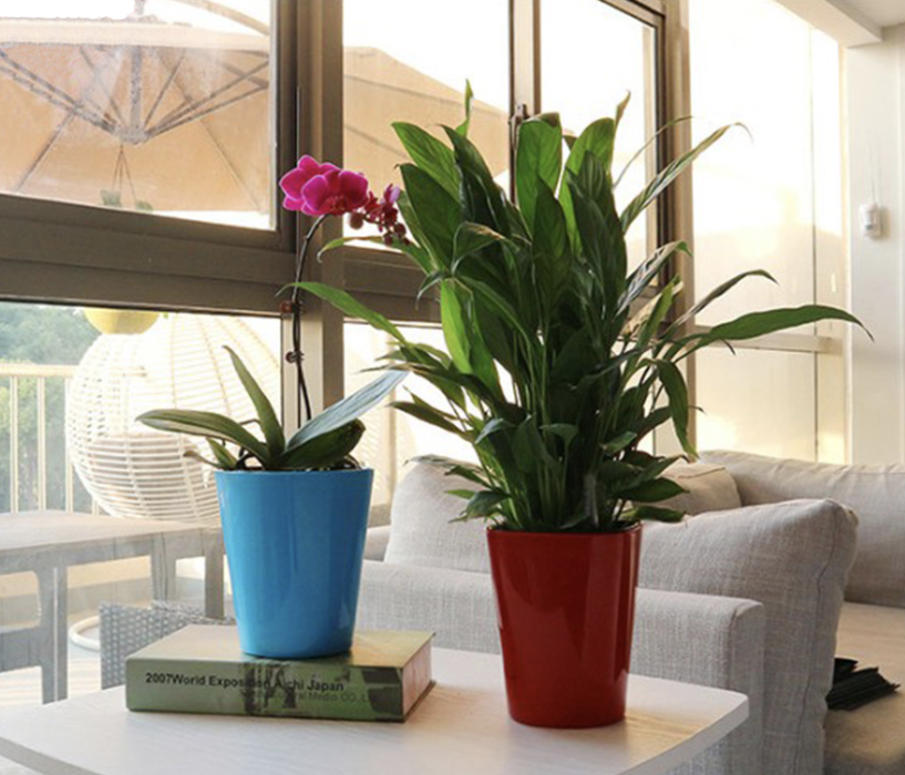 Vaso Da Fiori Per Esterni Vaso Blu Irrigazione Automatica