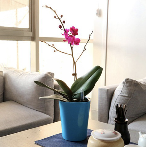 Vaso Da Fiori Per Esterni Vaso Blu Irrigazione Automatica