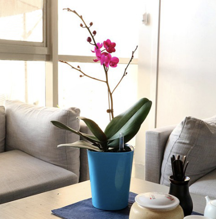 Vaso Da Fiori Per Esterni Vaso Blu Irrigazione Automatica