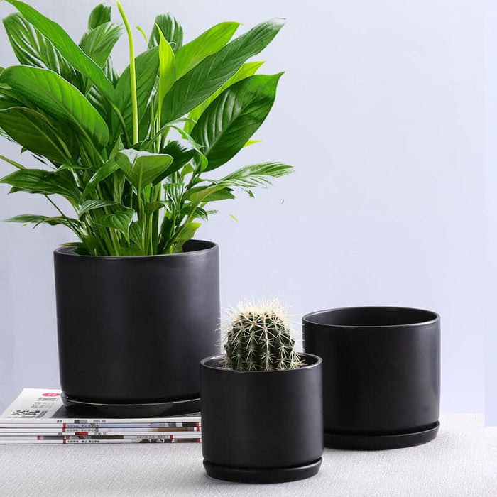 Vaso Da Fiori Su Supporto Vaso Per Piante Nero Opaco