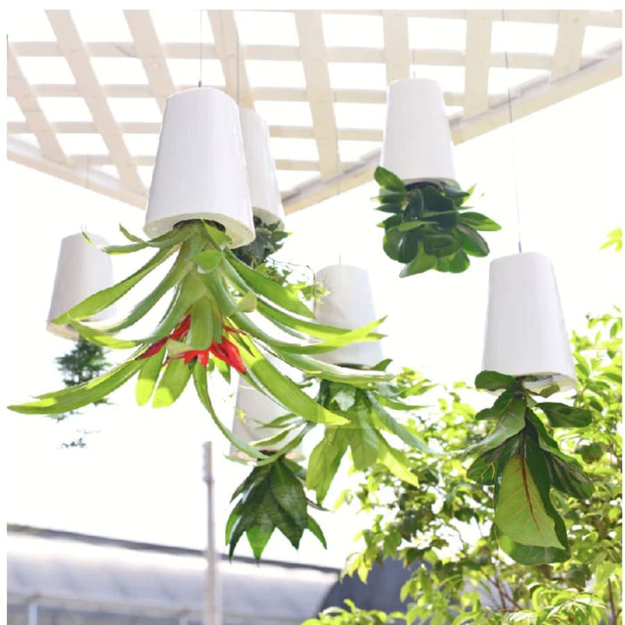 Vaso Da Fiori Sospeso A Testa In Giù