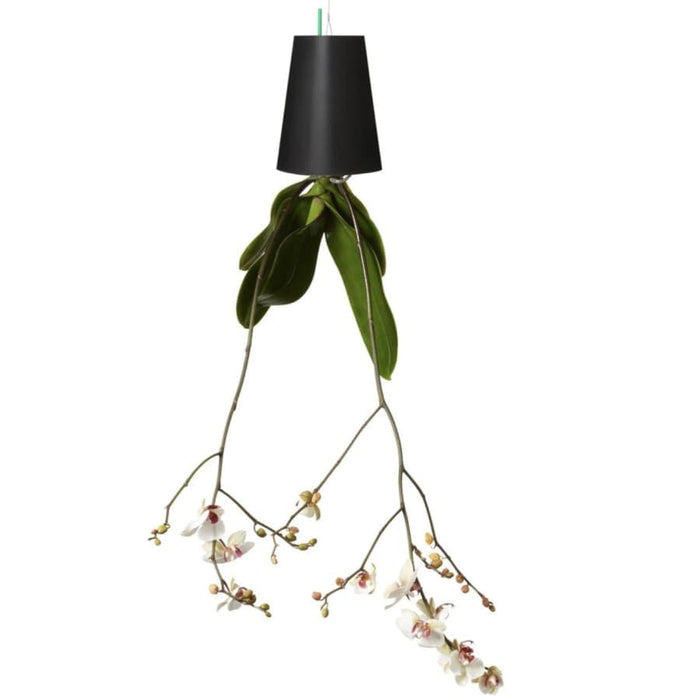 Vaso Da Fiori Sospeso A Testa In Giù