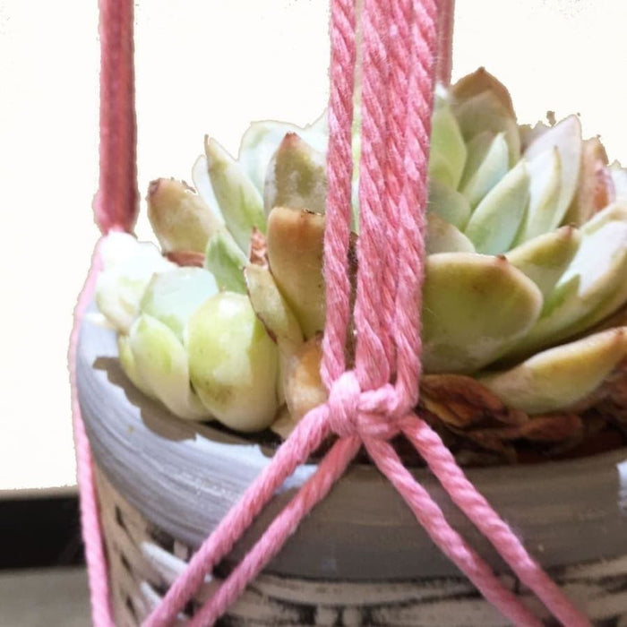 Vaso Da Fiori Sospeso In Macramè Porta Piante Rosa