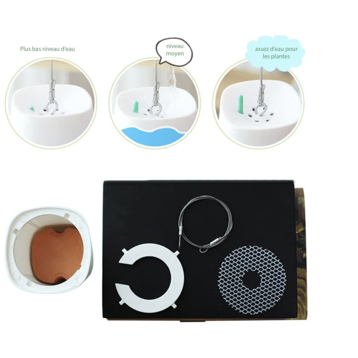 Vaso Da Fiori Sospeso Vaso Da Fiori Sospeso A Testa In Giù