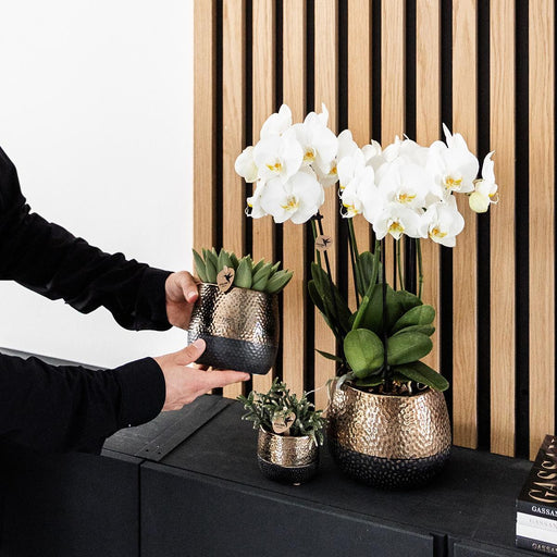 Vaso Decorativo Per Agrumi In Rame Elite