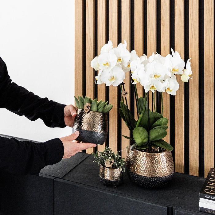 Vaso Decorativo Per Agrumi In Rame Elite