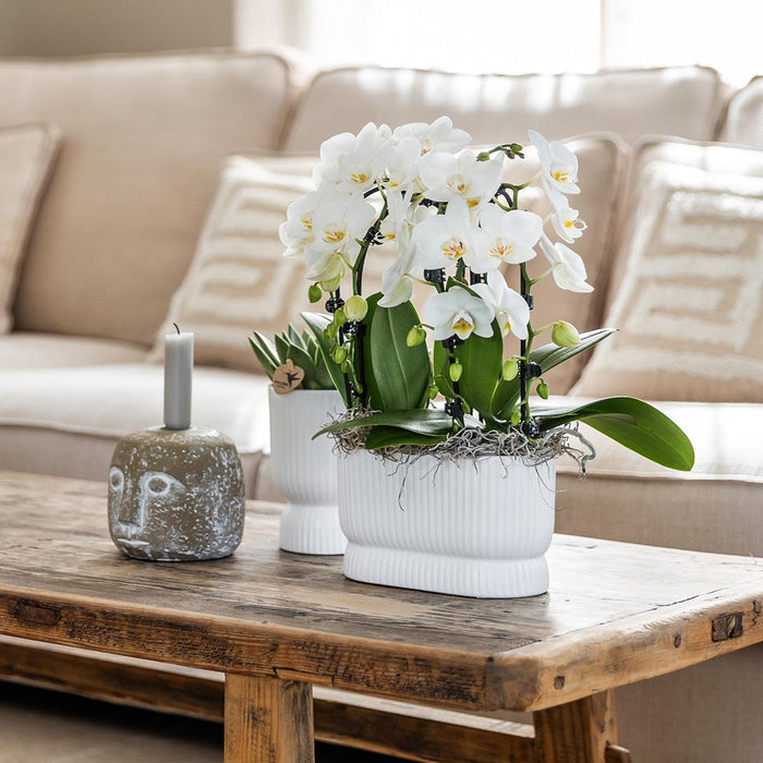 Vaso Decorativo Diabolo Bianco