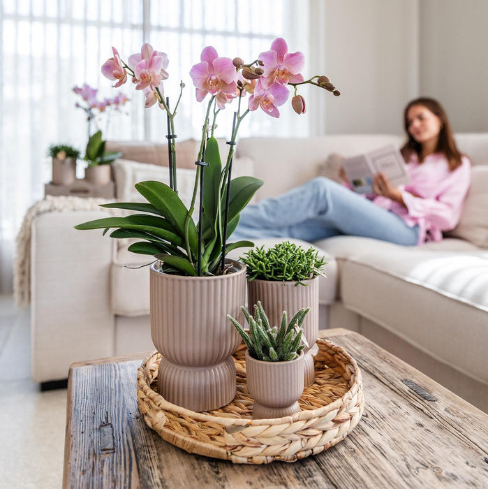 Vaso Decorativo Diabolo Sand