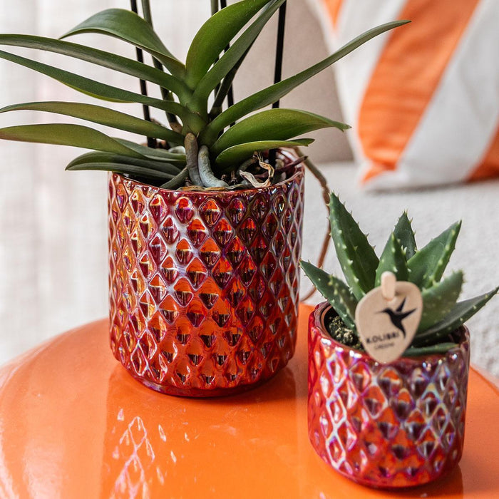 Vaso Decorativo Rosso Perla Diamante