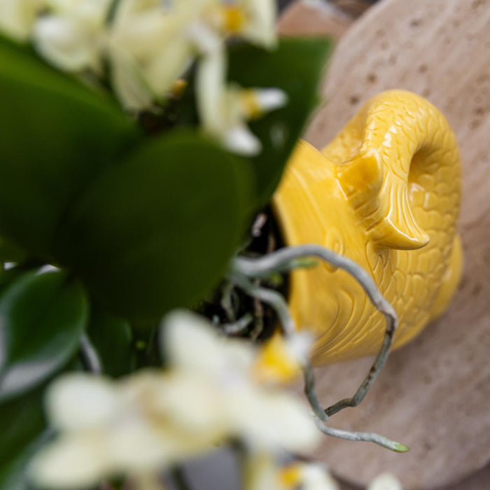 Vaso Decorativo Pesce Giallo - Modello Piccolo