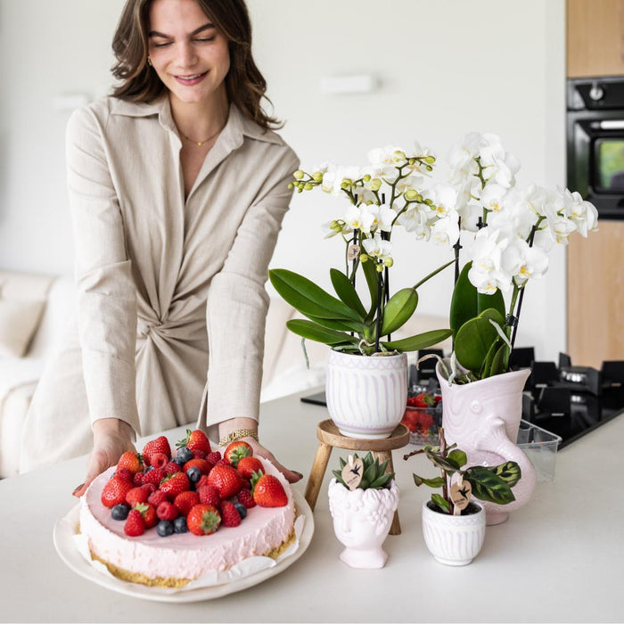 Vaso Decorativo Con Rosa Di Pesce