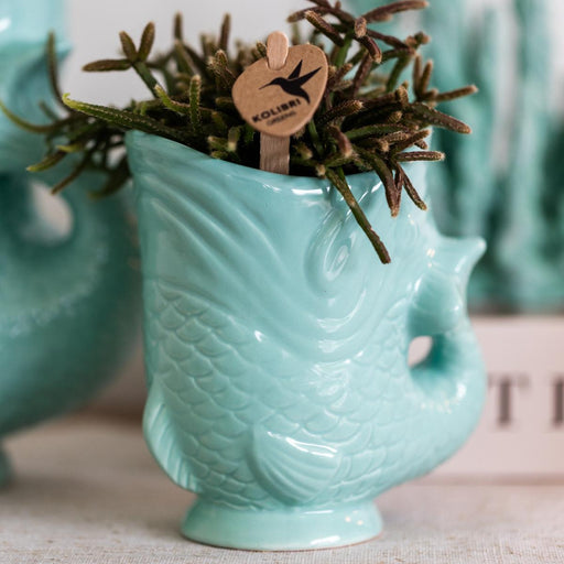 Vaso Decorativo Pesce Turchese