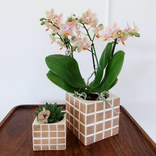 Vaso Decorativo Mosa Marrone