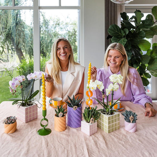 Vaso Decorativo Mosa Green