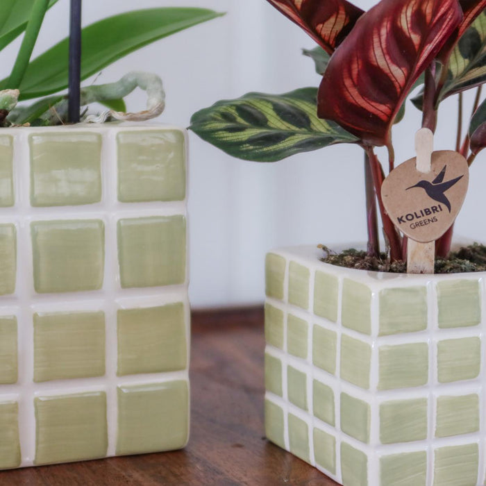 Vaso Decorativo Mosa Green