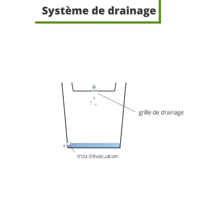 Vaso Di Diamanti Segreto