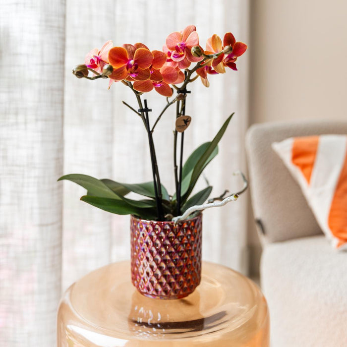 Vaso Diamante Perla Rosso