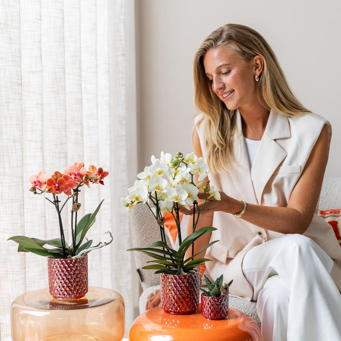 Vaso Diamante Perla Rosso