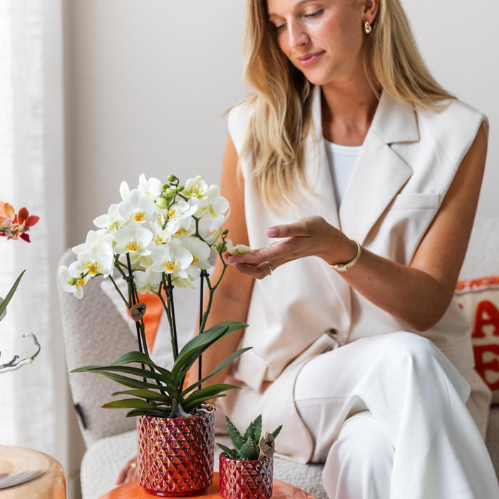 Vaso Diamante Perla Rosso