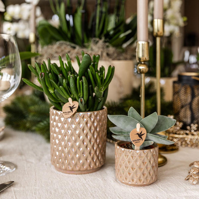 Vaso Diamond Pearl - Sabbia