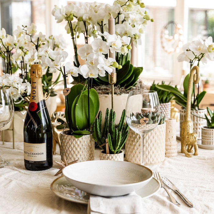 Vaso Diamond Pearl - Sabbia